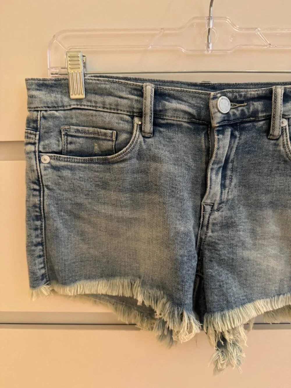 Blank NYC The Astor Denim Shorts